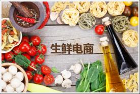 中国生鲜电商市场调研及品牌钻研汇报