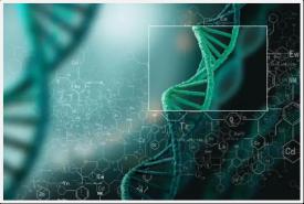 中国肿瘤检测市场机遇钻研项目