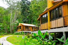 河北省xx丛林康养中心建设项目可行性钻研汇报