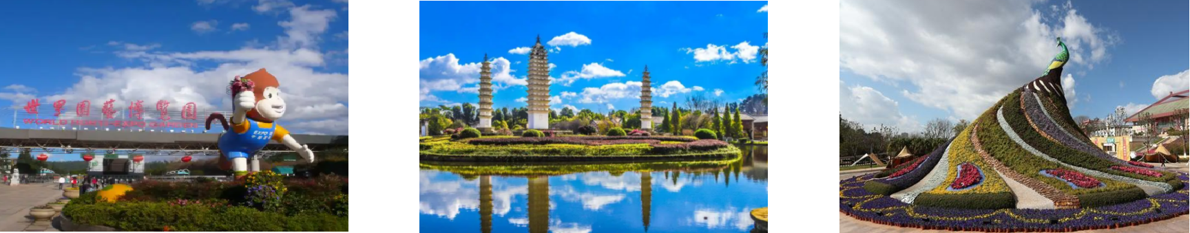 rb88随行版-rb88手机随行版登录入口