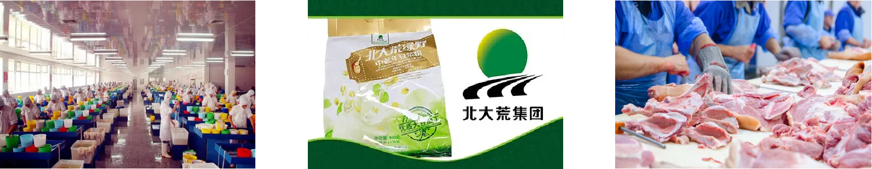 rb88随行版-rb88手机随行版登录入口