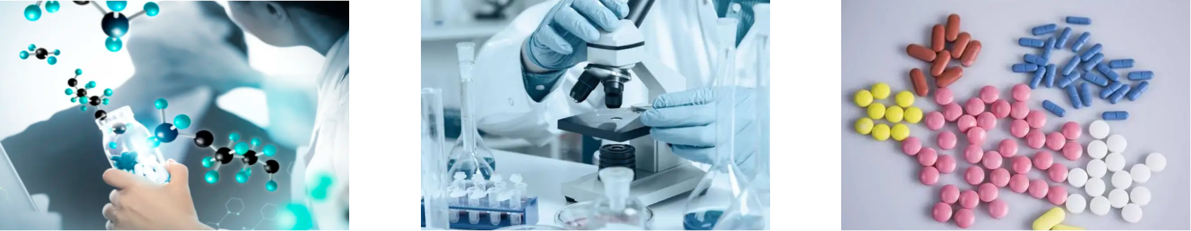 rb88随行版-rb88手机随行版登录入口