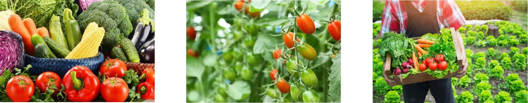 rb88随行版-rb88手机随行版登录入口