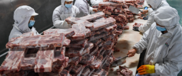 rb88随行版-rb88手机随行版登录入口