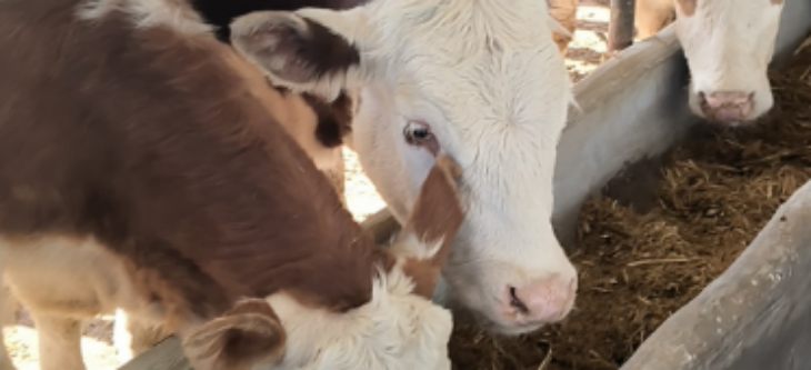 rb88随行版-rb88手机随行版登录入口