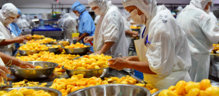 rb88随行版-rb88手机随行版登录入口