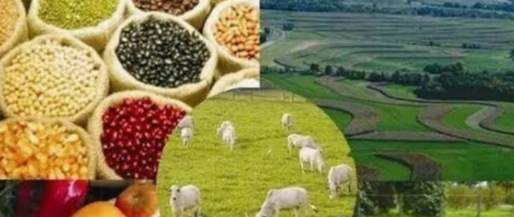 rb88随行版-rb88手机随行版登录入口