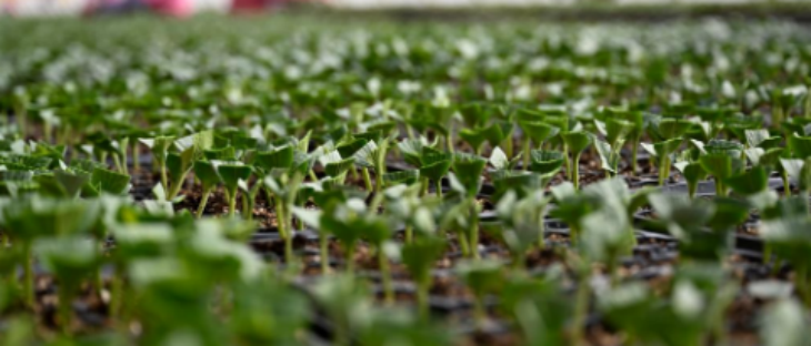 rb88随行版-rb88手机随行版登录入口