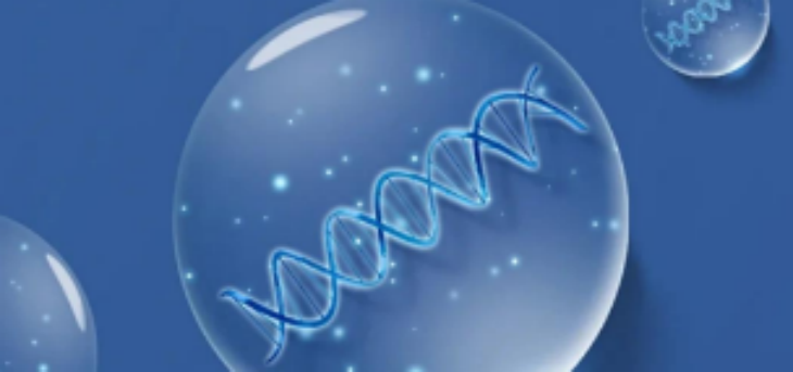 rb88随行版-rb88手机随行版登录入口