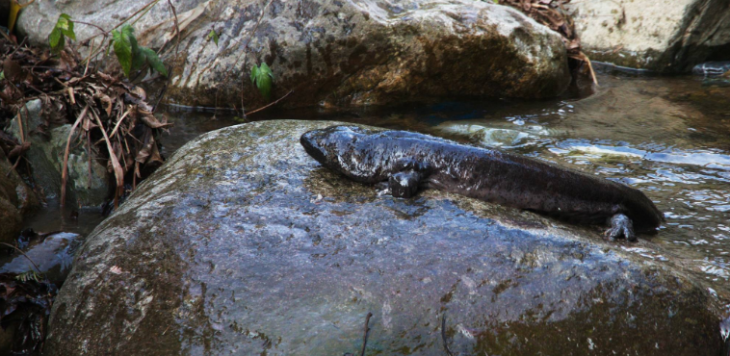 rb88随行版-rb88手机随行版登录入口