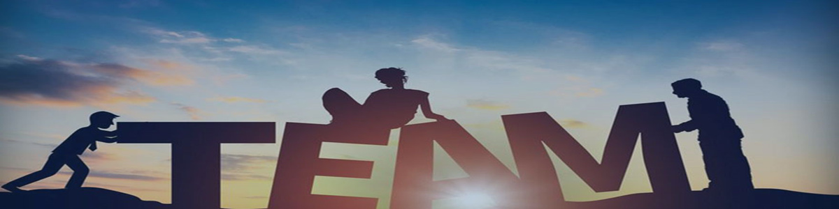 rb88随行版征询团队